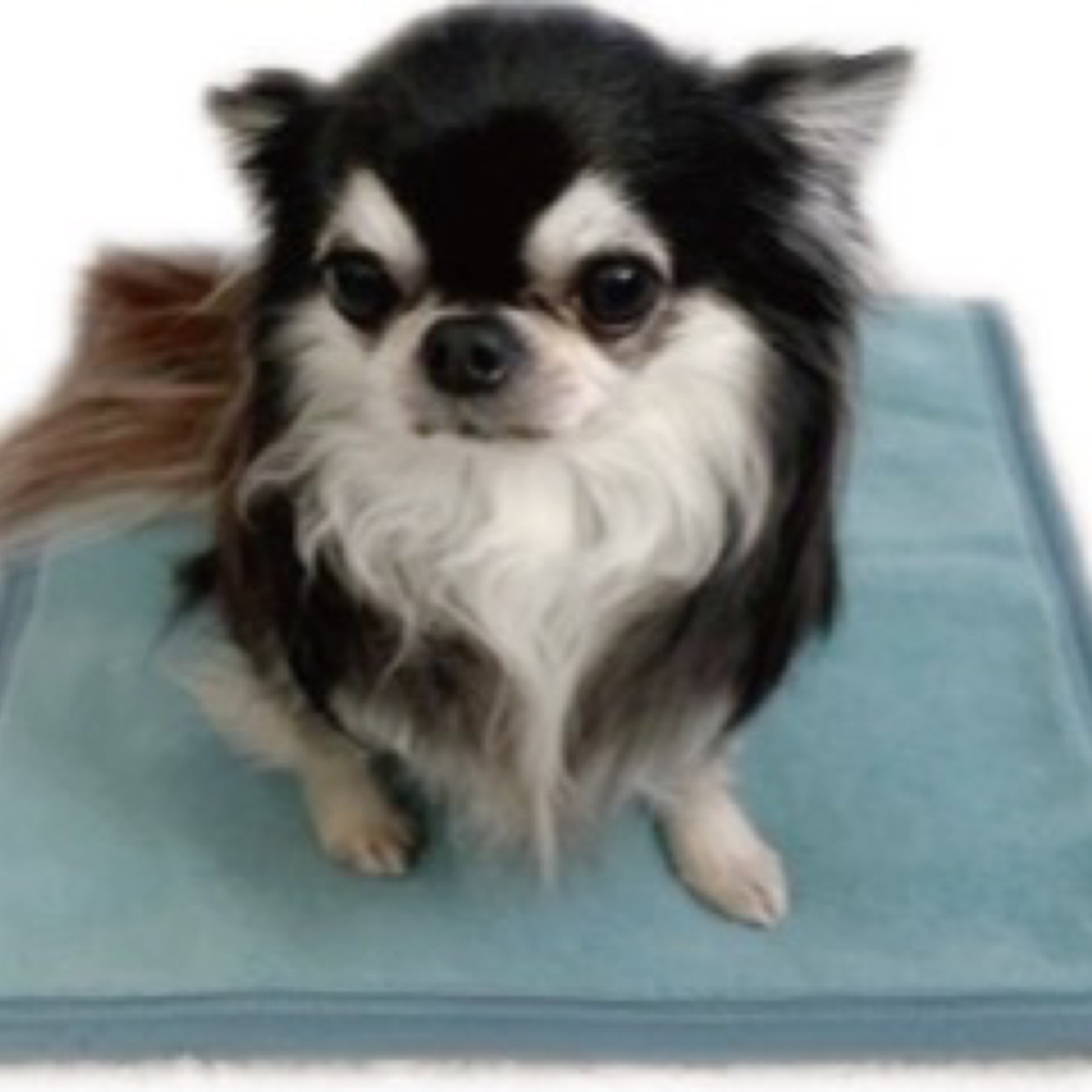 ネオロン、補整下着、有機ゲルマニウム、無添加化粧品、Neoron、生活